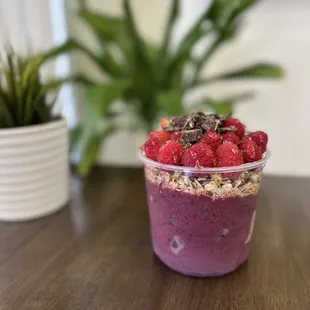 Rainforest Blended Bowl