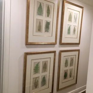 Installation and delivery services available.