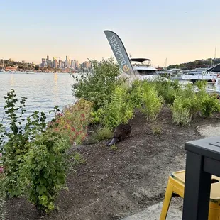 a view of a river and a city