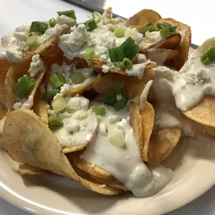 a plate of nachos