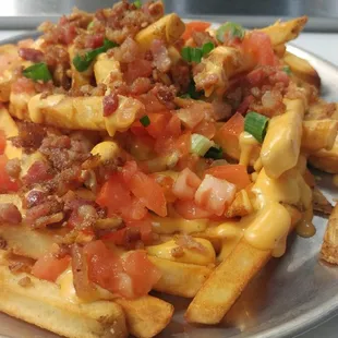 a plate of french fries