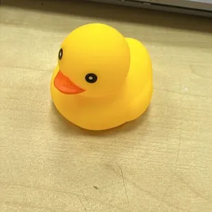 Sweet duck toy