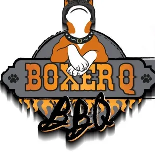 a dog wearing a helmet