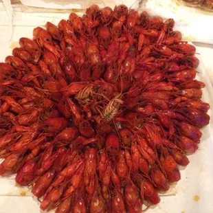 10lbs of crawfish become sunflower