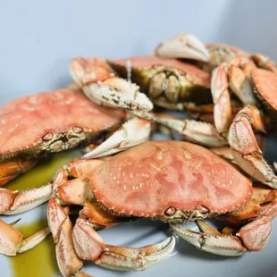 Whole Dungeness Crab 2lbs+