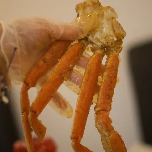 Snow Crab