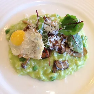 Mushroom Risotto