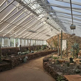 Inside the greenhouse