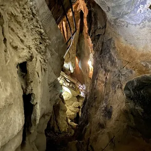 Looking up from the river bed