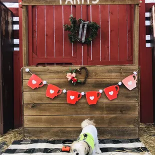 Taking a break for a pic of course!