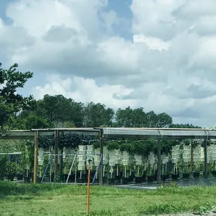 a boyette family farm