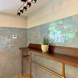 a potted plant on a counter