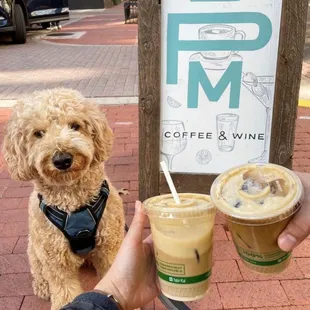 We love our little friends and welcome them with a complimentary pup cup.