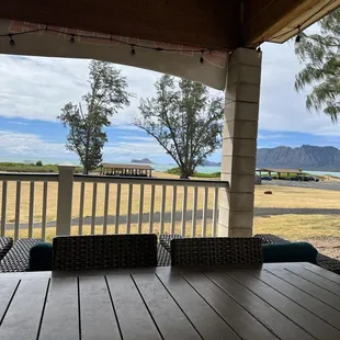 the view from the patio