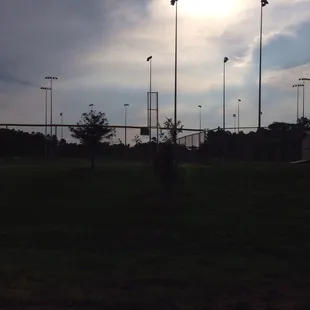 The fields