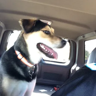 Happy and tired