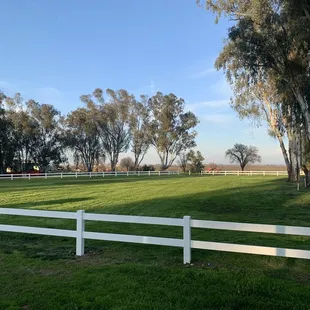 a white fence in the foreground