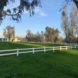 outside
