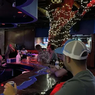 One of the big trees