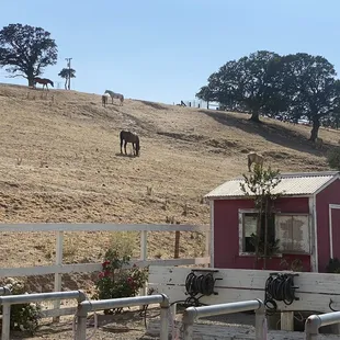 Beautiful and peaceful property!