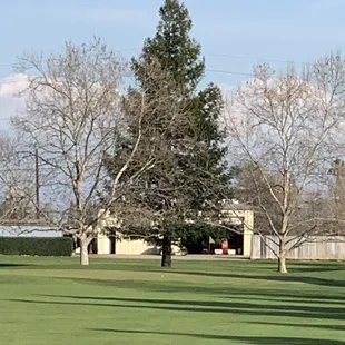 Hole 7, on the green gentle applause