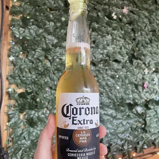 $3 corona &amp; trivia on Tuesdays!