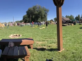 Diana's Pumpkin Patch & Corn Maze