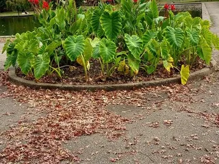 Allegheny Commons Park