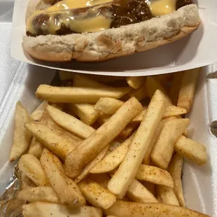 a hot dog and french fries