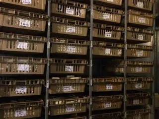 Jisa Farmstead Cheese