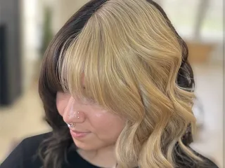 Salon Modesty