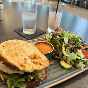 Chicken sandwich and side salad.
