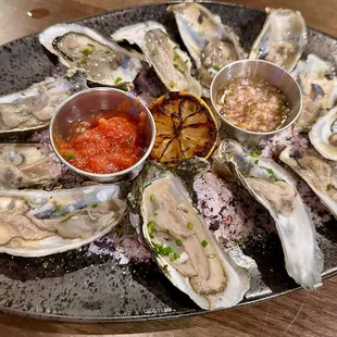 Oysters