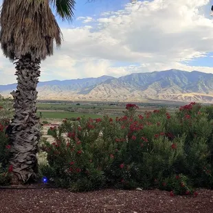 a view of the mountains