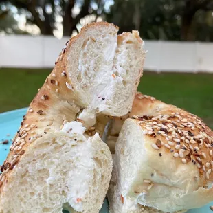 Brandon Bagels | Brandon FL | January 12, 2022