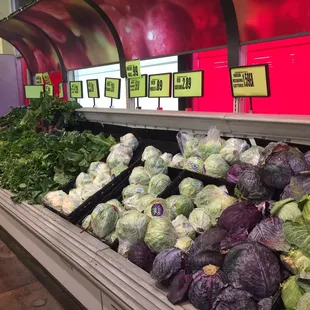 Produce - cabbages, cauliflower, lettuces, radishes, etc...
