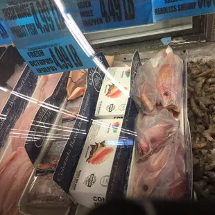 Snapper, tiger shrimp, conch, tilapia, octopus