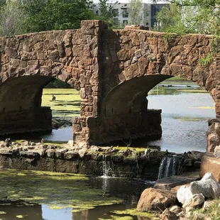 Brandt Park - OU Duck Pond:  Pond Area &amp; Walking Bridge