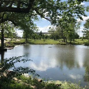 Brandt Park - OU Duck Pond:  Pond Area