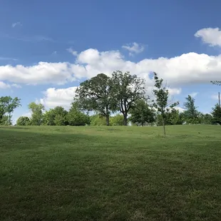 Brandt Park - OU Duck Pond:  Grass &amp; Trees