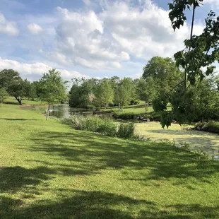 Brandt Park - OU Duck Pond:  Pond &amp; Grass
