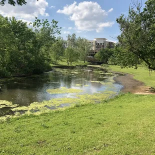 Brandt Park - OU Duck Pond:  Pond Area