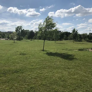 Brandt Park - OU Duck Pond:  Grass Area