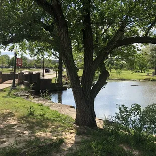 Brandt Park - OU Duck Pond:  Pond Area &amp; Sidewalk