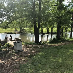 Brandt Park - OU Duck Pond:  Pond Area &amp; Small Pier
