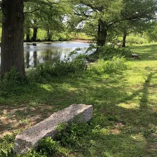 Brandt Park - OU Duck Pond:  Pond Area &amp; Bench