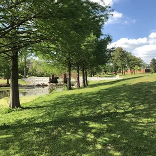 Brandt Park - OU Duck Pond:  Pond &amp; Grass Area