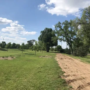 Brandt Park - OU Duck Pond:  Grass Area, Trees, Sand Path