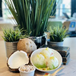 a bowl of ice cream and a bowl of fruit