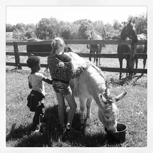 One our students - (Brannon Stables - Lexington Horse Riding Lessons, Lexington Horse Boarding)